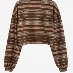 Women's Ethnic Style Tribal Geo Aztec Printed V-notched Pullover Crop Knitwear Sweater